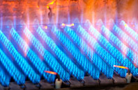 Calver gas fired boilers